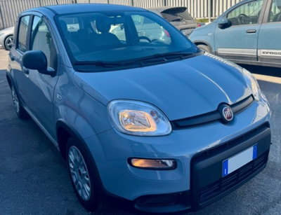 Fiat Panda 1.0 firefly hybrid s&s 70cv 5p.ti (5)