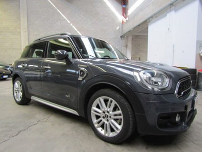 MINI Mini Countryman 2.0 Cooper S Countryman ALL4 (2)