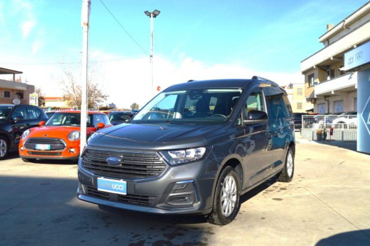 Ford Tourneo Connect 2.0 EcoBlue 122 CV Titanium (17)