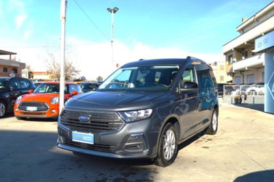 Ford Tourneo Connect 2.0 EcoBlue 122 CV Titanium (17)