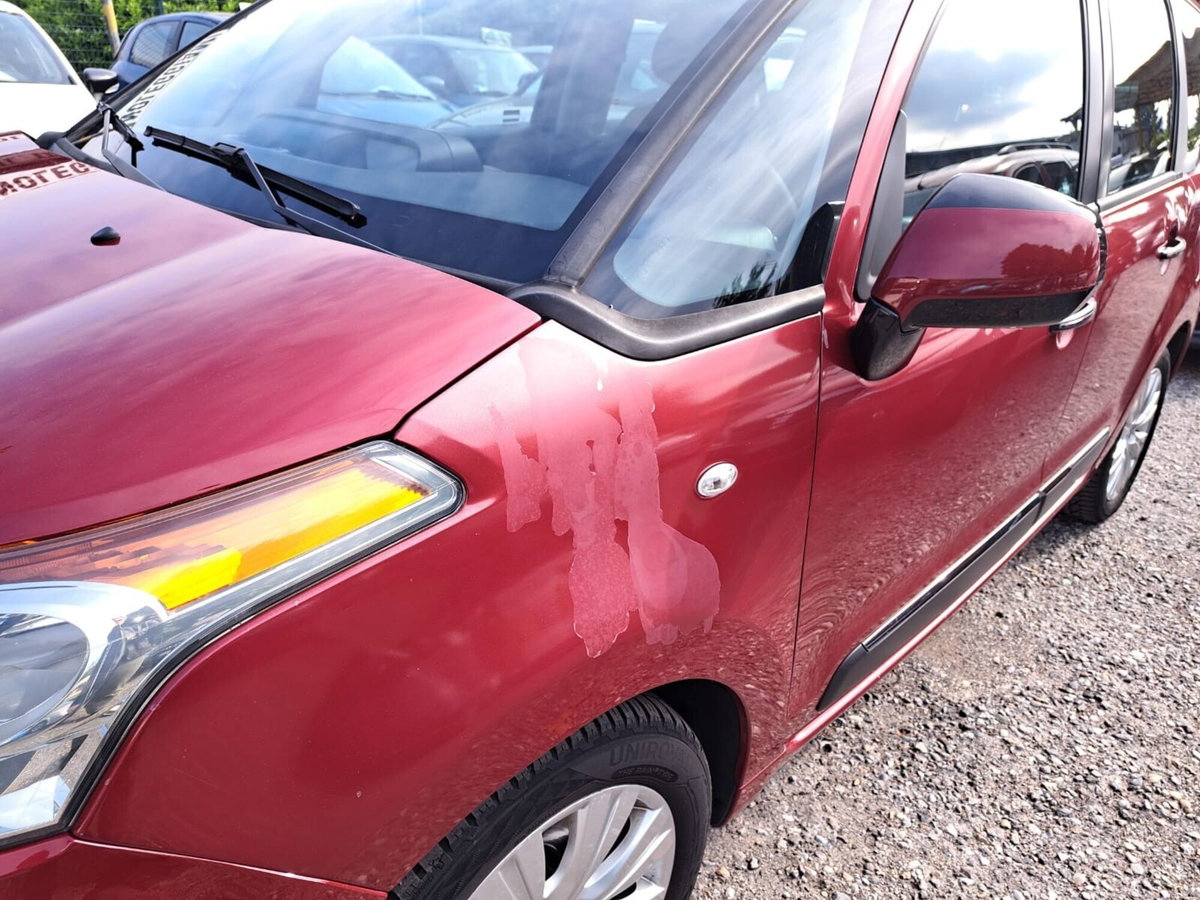 Citroen C3 Picasso 1.4 VTi 95 Exclusive (12)