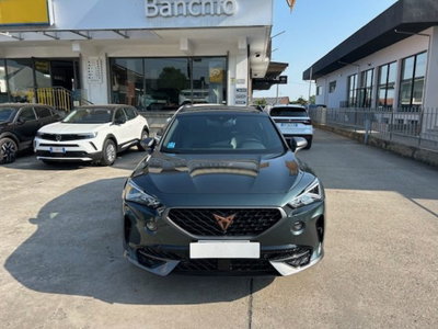 Cupra Formentor Formentor 2.0 tdi 4drive 150cv dsg (14)