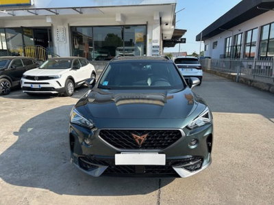 Cupra Formentor Formentor 2.0 tdi 4drive 150cv dsg (15)