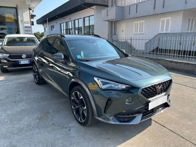 Cupra Formentor Formentor 2.0 tdi 4drive 150cv dsg (16)