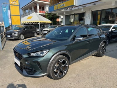 Cupra Formentor Formentor 2.0 tdi 4drive 150cv dsg (17)