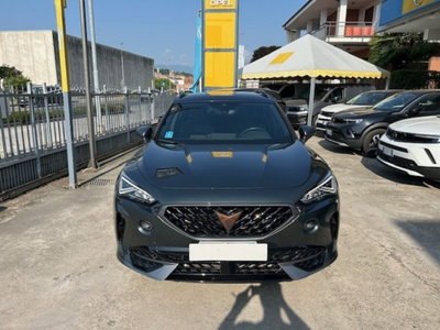 Cupra Formentor Formentor 2.0 tdi 4drive 150cv dsg (2)