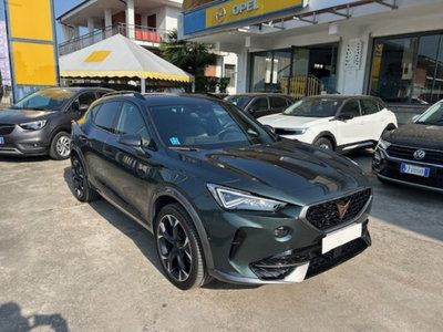 Cupra Formentor Formentor 2.0 tdi 4drive 150cv dsg (3)