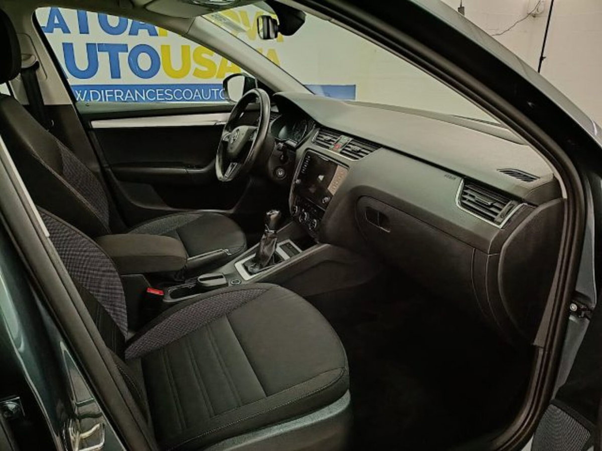 Skoda Octavia Station Wagon 1.6 TDI CR 115 CV Wagon Executive (13)
