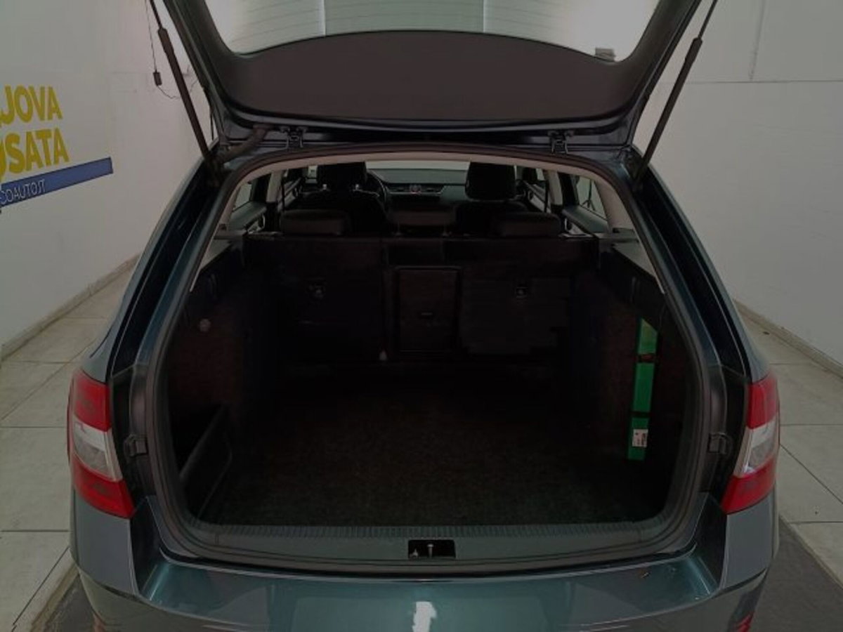 Skoda Octavia Station Wagon 1.6 TDI CR 115 CV Wagon Executive (14)