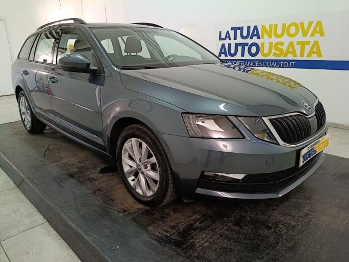 Skoda Octavia Station Wagon 1.6 TDI CR 115 CV Wagon Executive (2)