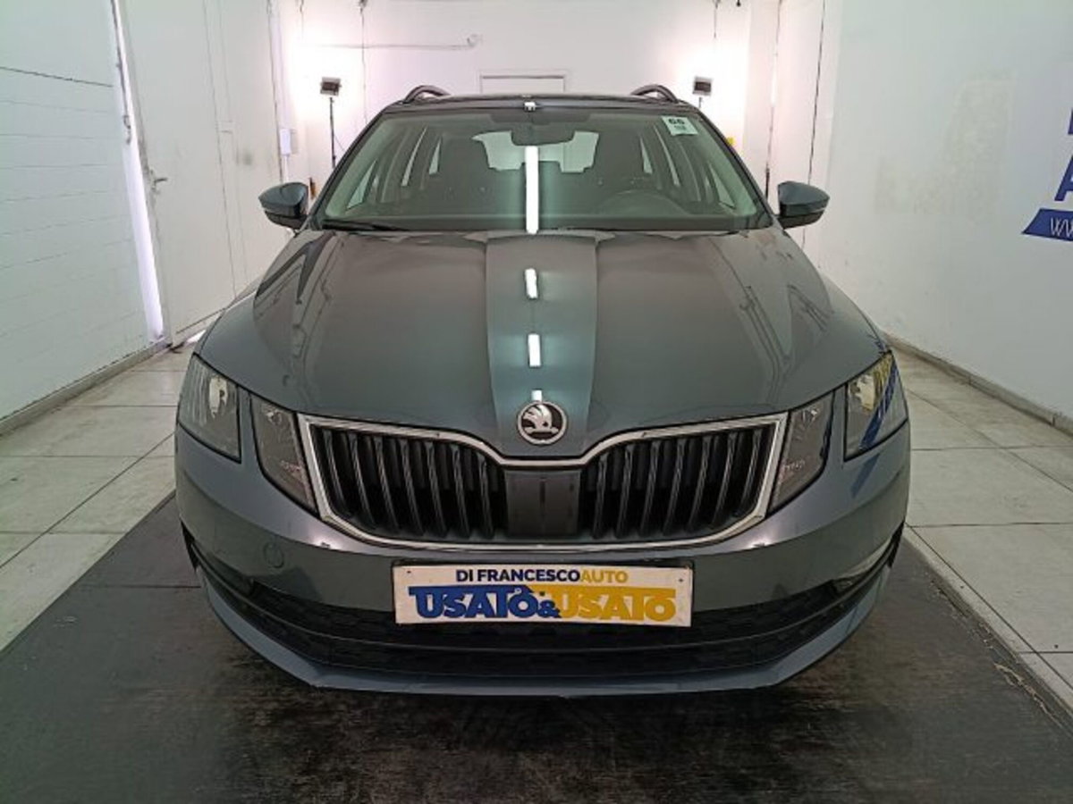 Skoda Octavia Station Wagon 1.6 TDI CR 115 CV Wagon Executive (3)