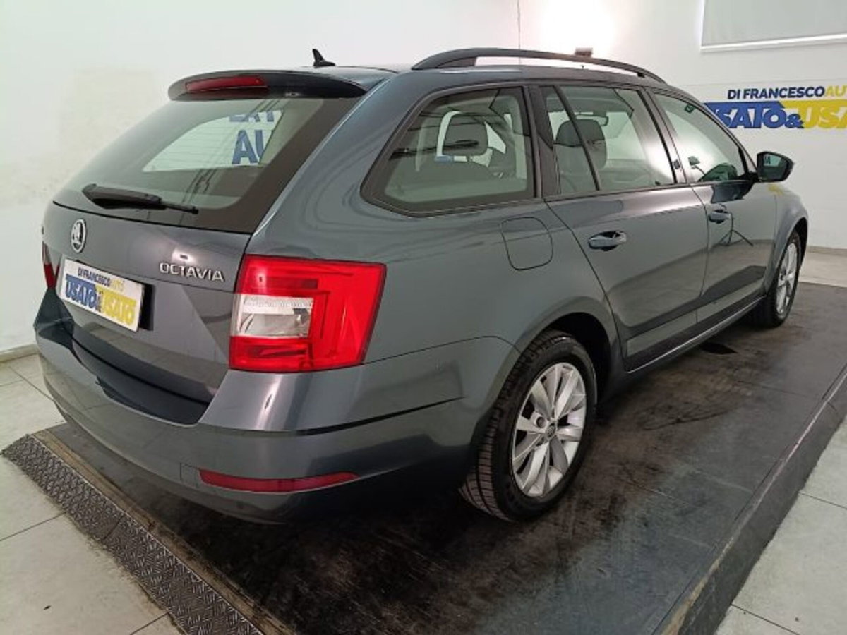 Skoda Octavia Station Wagon 1.6 TDI CR 115 CV Wagon Executive (4)