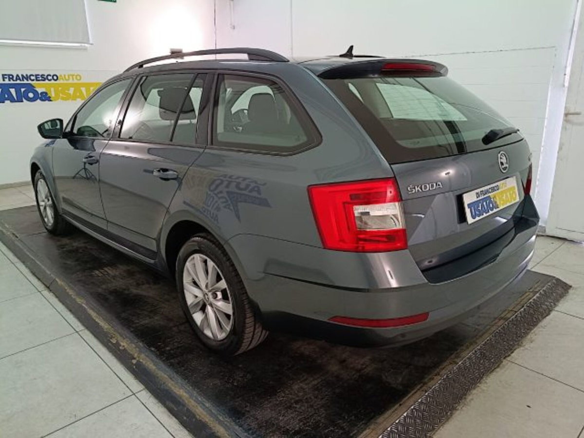 Skoda Octavia Station Wagon 1.6 TDI CR 115 CV Wagon Executive (5)