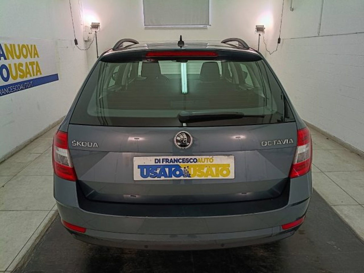 Skoda Octavia Station Wagon 1.6 TDI CR 115 CV Wagon Executive (6)