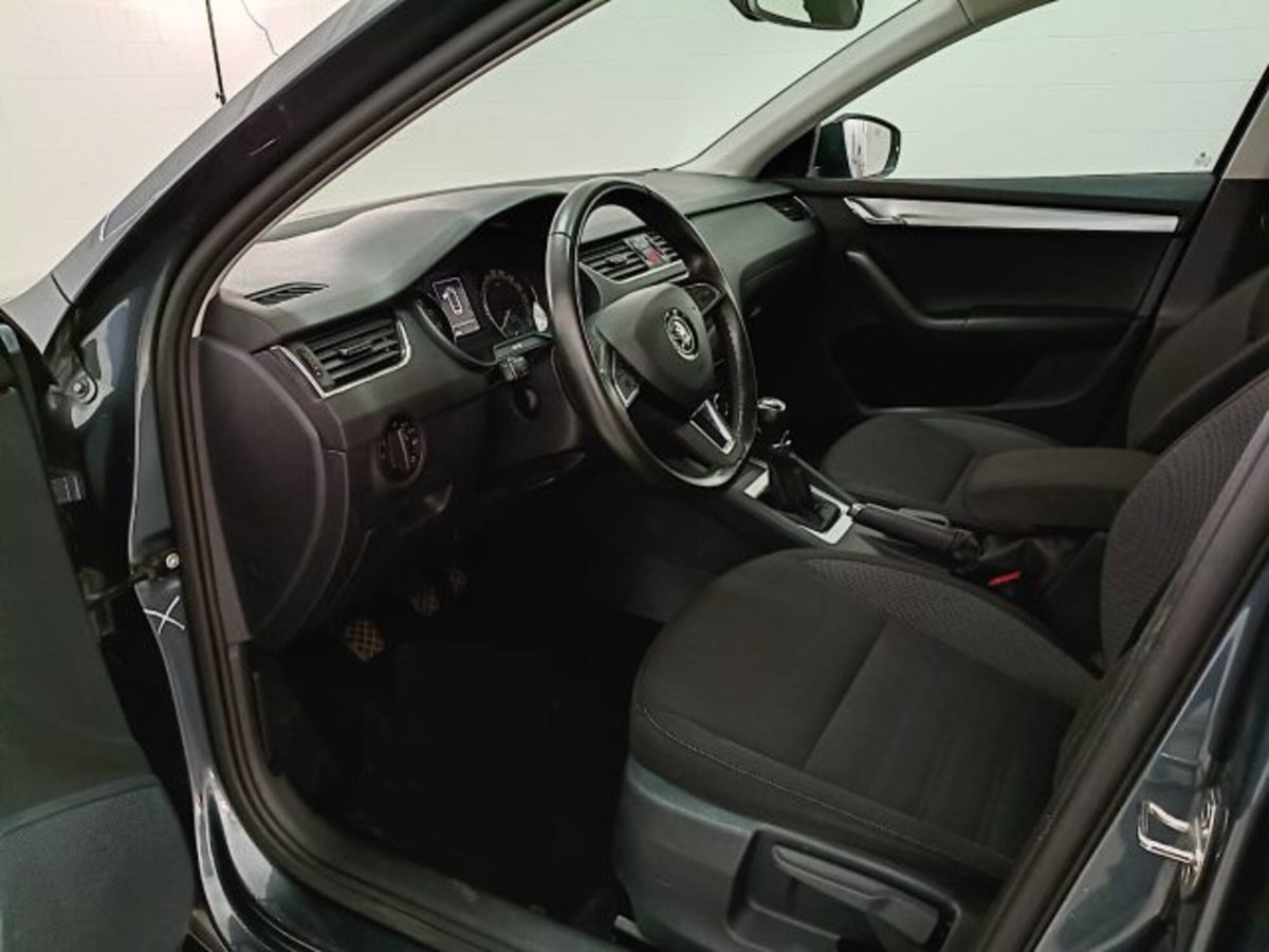 Skoda Octavia Station Wagon 1.6 TDI CR 115 CV Wagon Executive (7)