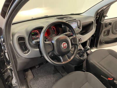 Fiat Panda 1.0 firefly hybrid s&s 70cv 5p.ti (15)