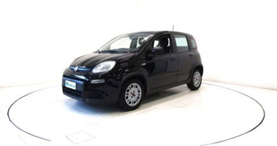 Fiat Panda 1.0 firefly hybrid s&s 70cv 5p.ti (16)