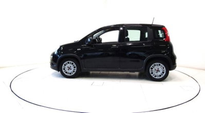 Fiat Panda 1.0 firefly hybrid s&s 70cv 5p.ti (17)