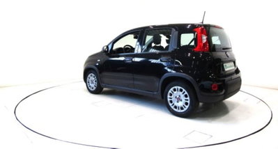 Fiat Panda 1.0 firefly hybrid s&s 70cv 5p.ti (19)