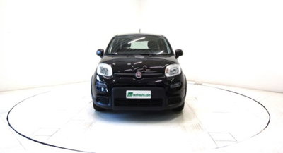 Fiat Panda 1.0 firefly hybrid s&s 70cv 5p.ti (2)