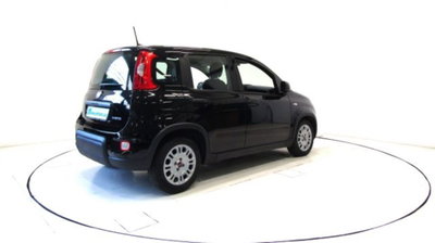 Fiat Panda 1.0 firefly hybrid s&s 70cv 5p.ti (20)