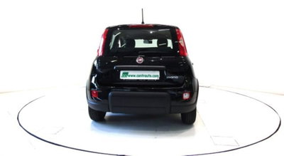 Fiat Panda 1.0 firefly hybrid s&s 70cv 5p.ti (4)