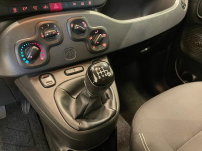 Fiat Panda 1.0 firefly hybrid s&s 70cv 5p.ti (9)