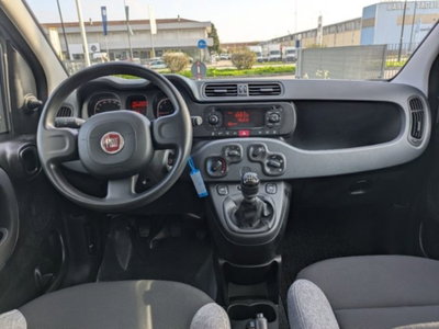 Fiat Panda 1.0 firefly hybrid s&s 70cv 5p.ti (2)