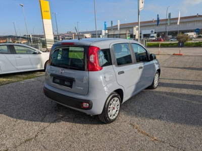 Fiat Panda 1.0 firefly hybrid s&s 70cv 5p.ti (3)
