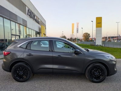 Ford Kuga 1.5 EcoBlue 120 CV aut. 2WD (2)