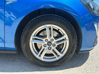 Ford Focus Station Wagon 1.0 EcoBoost 125 CV automatico SW Business Co-Pilot (16)