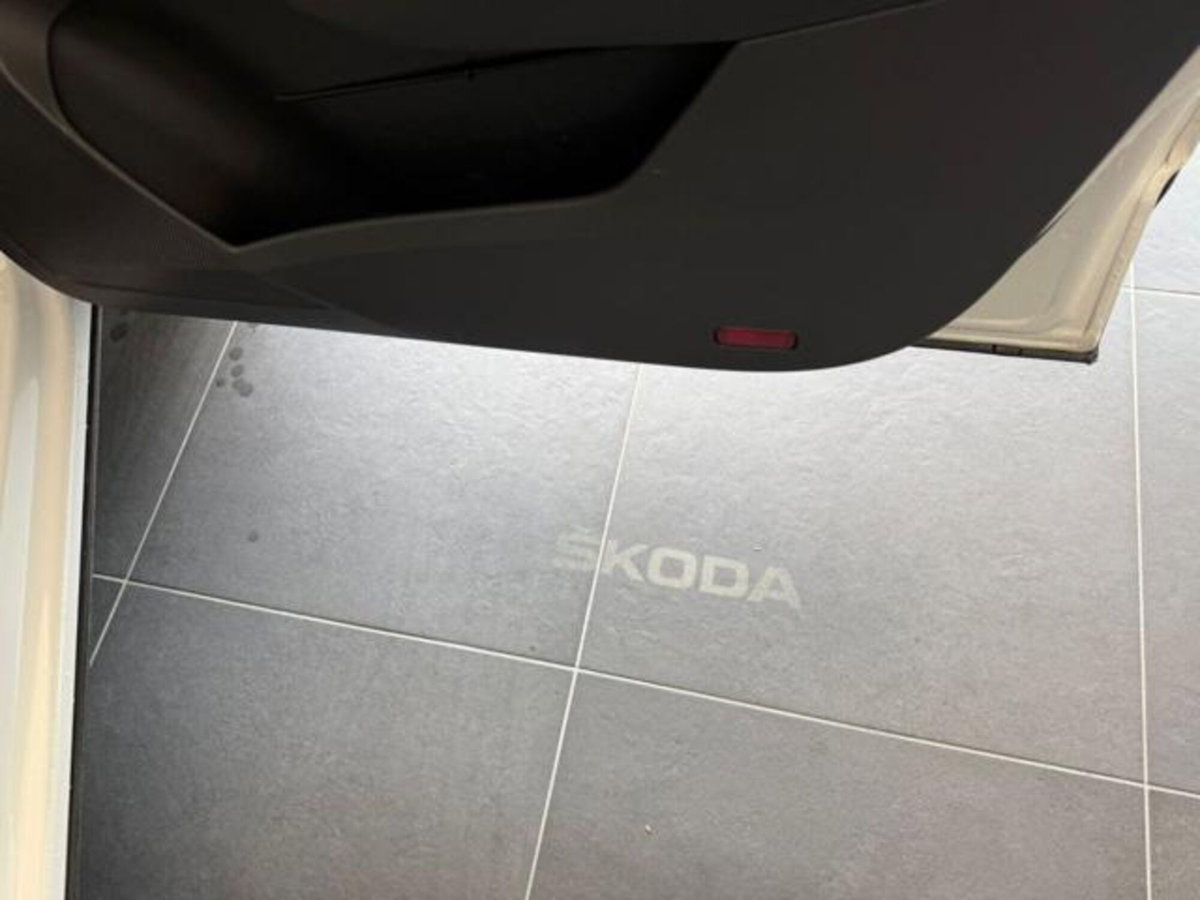 Skoda Karoq 1.0 TSI DSG Style (20)