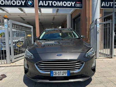 Ford Focus Station Wagon 1.5 EcoBlue 120 CV automatico SW Business (3)
