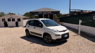 Fiat Panda 1.0 FireFly S&S Hybrid City Cross usata