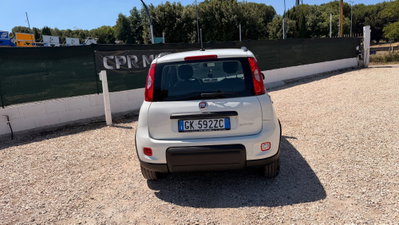 Fiat Panda 1.0 FireFly S&S Hybrid City Cross (4)