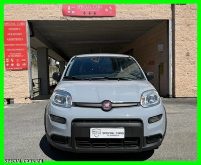 Fiat Panda Cross Cross 1.0 FireFly S&S Hybrid usata