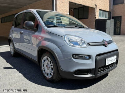 Fiat Panda Cross Cross 1.0 FireFly S&S Hybrid (2)