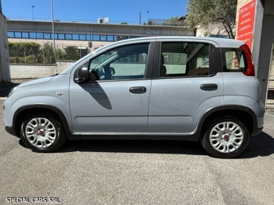Fiat Panda Cross Cross 1.0 FireFly S&S Hybrid (5)