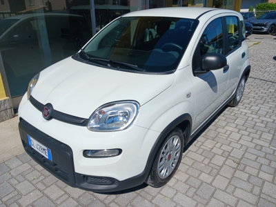 Fiat Panda 1.0 FireFly S&S Hybrid City Life (2)