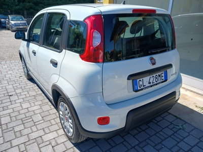 Fiat Panda 1.0 FireFly S&S Hybrid City Life (3)