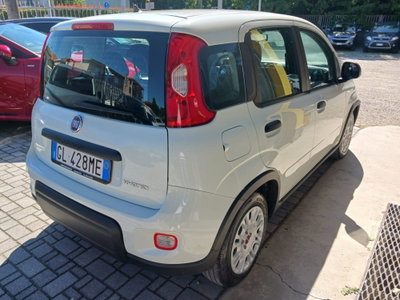 Fiat Panda 1.0 FireFly S&S Hybrid City Life (4)