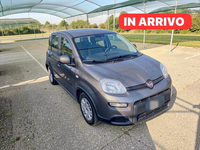 Fiat Panda 1.0 FireFly S&S Hybrid Red usata