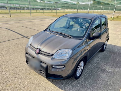 Fiat Panda 1.0 FireFly S&S Hybrid Red (2)