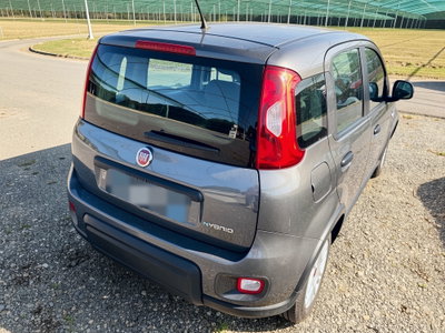 Fiat Panda 1.0 FireFly S&S Hybrid Red (4)