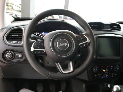 Jeep Renegade 1.6 Mjt 130 CV Limited (12)