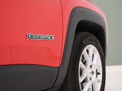Jeep Renegade 1.6 Mjt 130 CV Limited (8)
