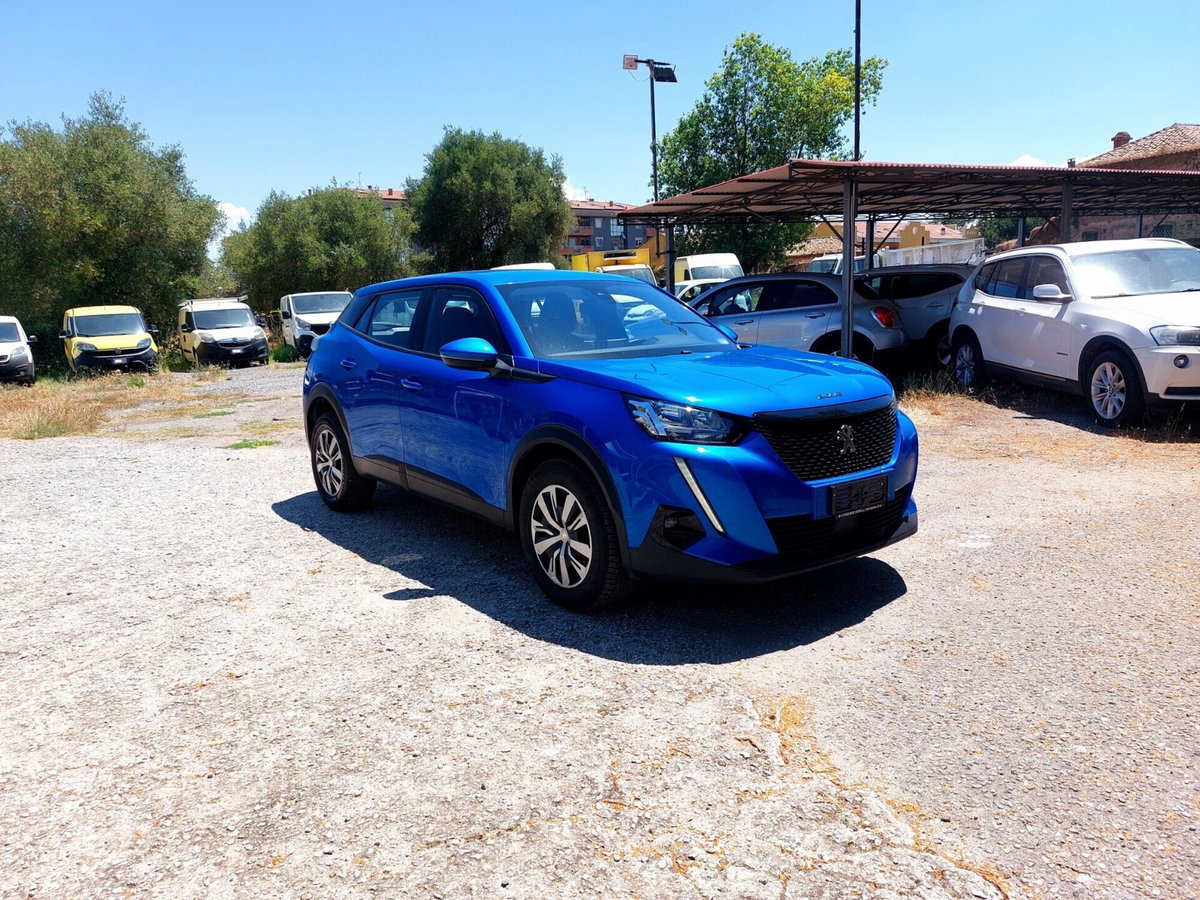 Peugeot 2008 BlueHDi 110 S&S Active (14)