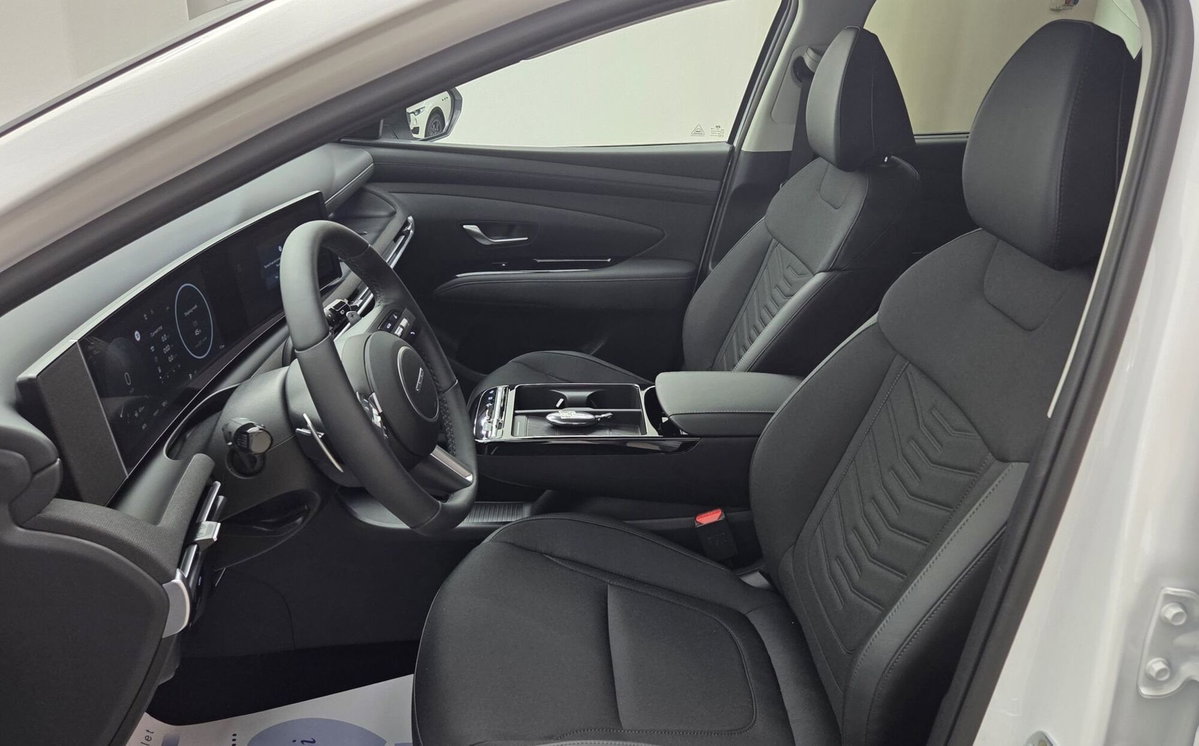 Hyundai Tucson 1.6 hev Exellence 2wd 239cv auto (10)