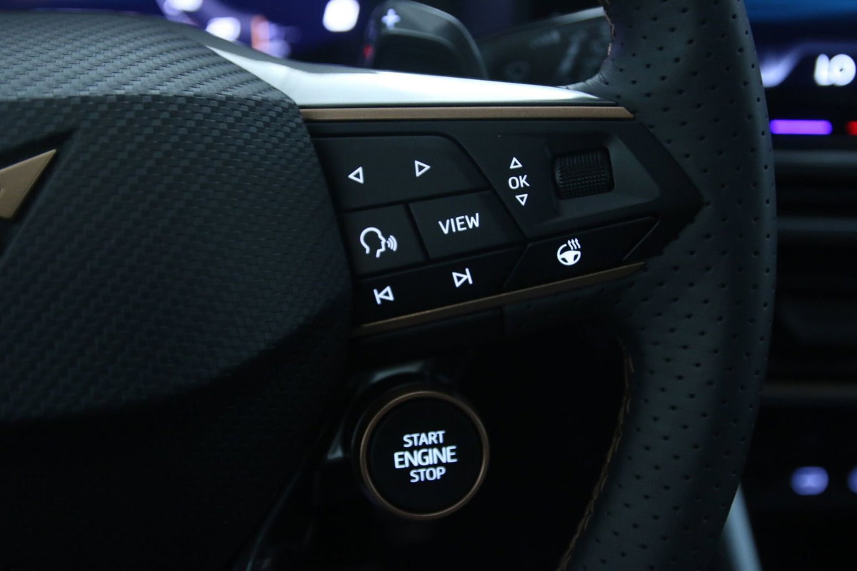 Cupra Formentor Formentor 1.5 TSI (20)