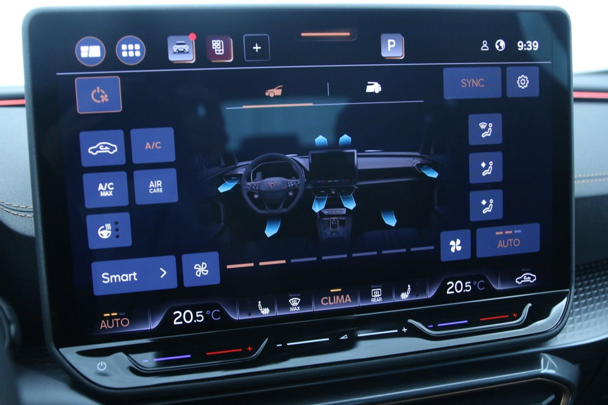 Cupra Formentor Formentor 1.5 TSI (16)